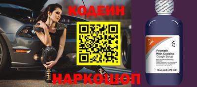 индика Сланцы