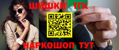 гидра Славгород