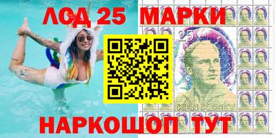 индика Сланцы