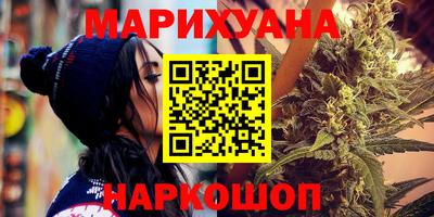 индика Сланцы
