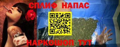 индика Сланцы