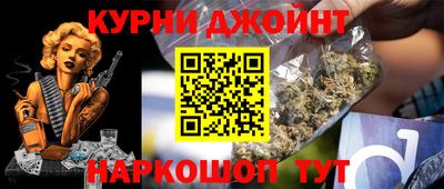 индика Сланцы