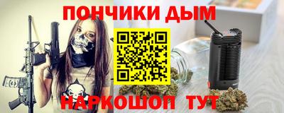 индика Сланцы