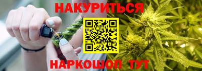 гидра Славгород