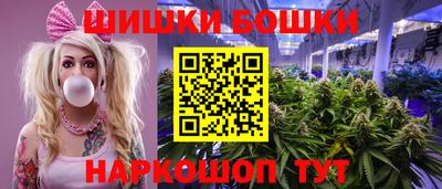 гидра Славгород