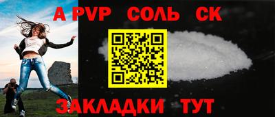 индика Сланцы